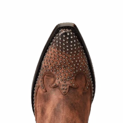 Western Cowboy Equipment -Western Cowboy Equipment Myproject 2023 05 26T090445.187